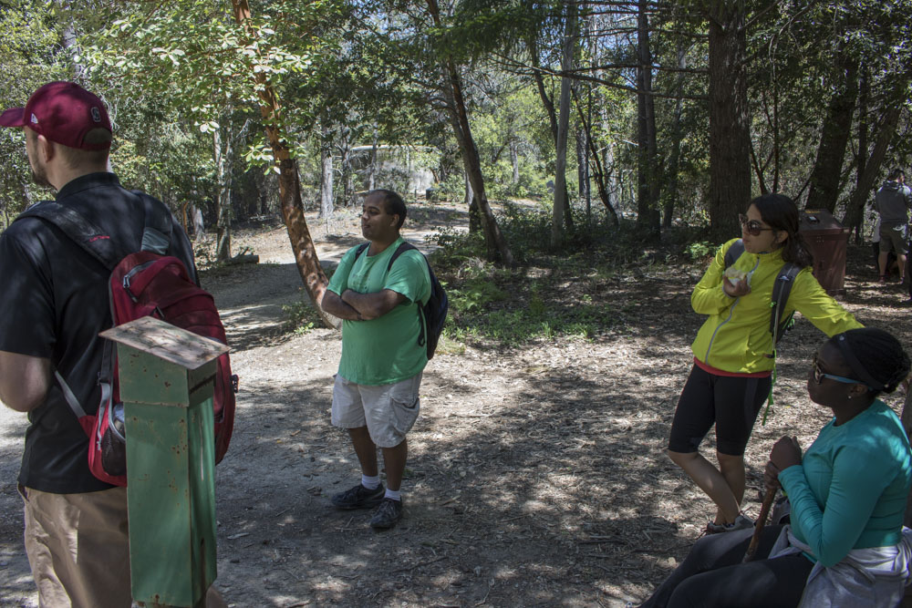 Picture of 160430 Castle Rock Hike